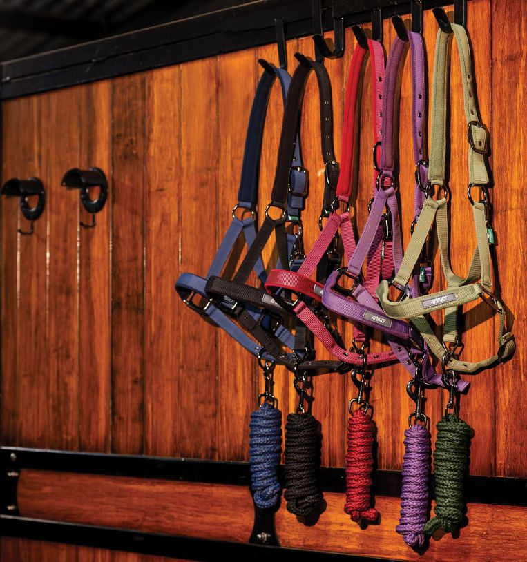 Amigo | Grimer fra Horseware Ireland